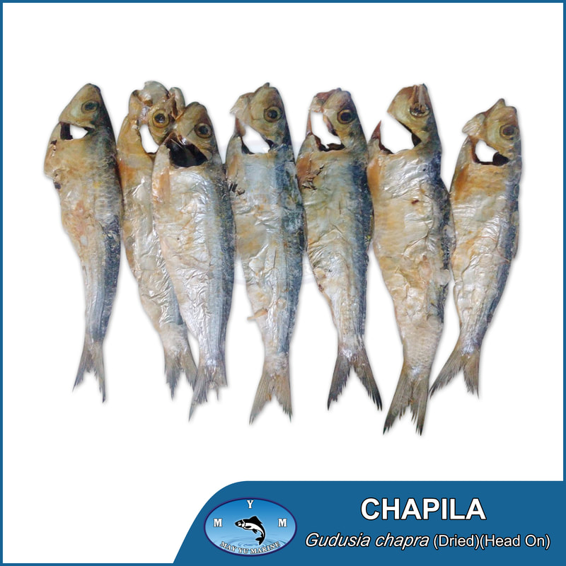 Dried Chapila headon - ASIA WINNER