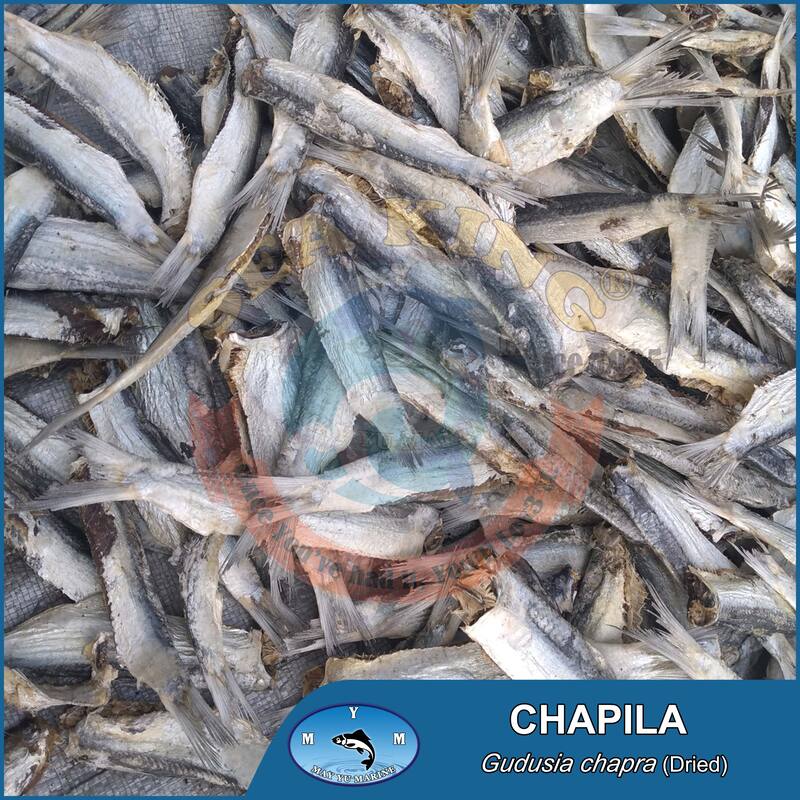 Dried Chapila headless - ASIA WINNER